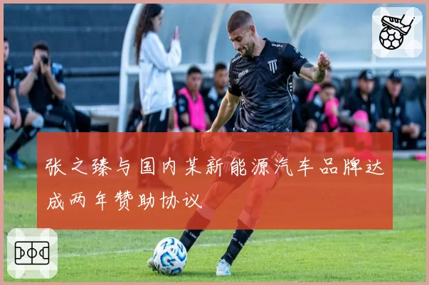 张之臻与国内某新能源汽车品牌达成两年赞助协议